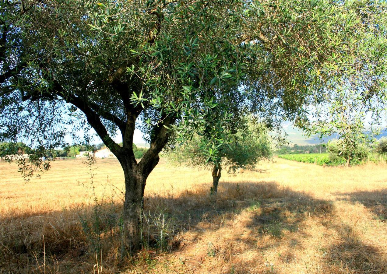 Agriturismo Da Pina Porto Conte Exterior foto